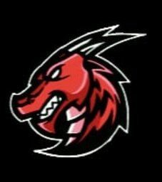 DRAGO GAMING