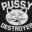 PUSSY DESTROYER666