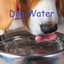Dog Waterz