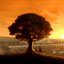 ATLA (was deleted at: 2022-05-02T06:03:28.9081478Z)