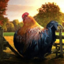 balutaderata