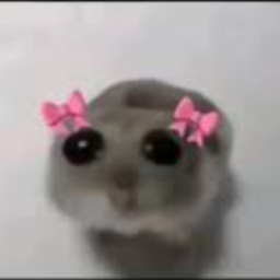 Meemu