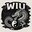 Young Wiu