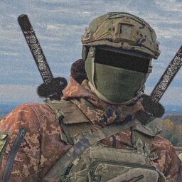 adorable_raccoon_65757