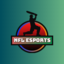 NFL ESPORTS RC22