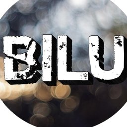 BiluMaisteri