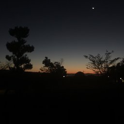 Viiøhl#