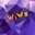 WiWe