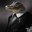 Wood_Lizard