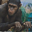 ApesTogetherStrong_