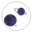 Purple Planets