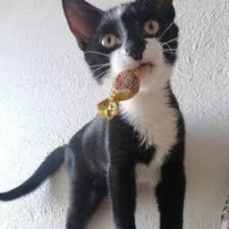 !ManYakÇocukk#0001