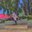 xsvier#4037
