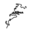 Akina