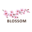 Blossoms (was deleted at: 2022-02-21T18:19:35.2147634Z)