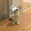 Solid Team__ (was deleted at: 2023-05-21T14:33:40.1488901Z)