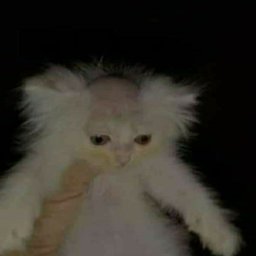 Galax Crimeplays#0358