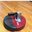 Roomba