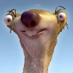 BOT_Fossa