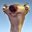 BOT_Fossa