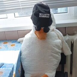 DanGer GooSe
