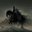 Dark Horses