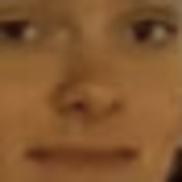 bergarnxd