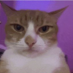 m0nket
