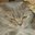 24/7TIGR