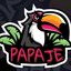 PapajeTeam