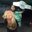 PROSEKTORIUM-