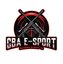 GBA E-SPORT™