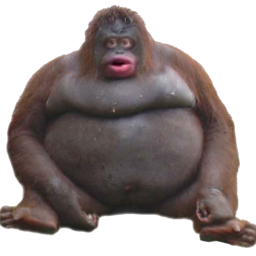 kwinnzefrina