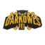 FEI DarkOwls