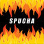 Spucha