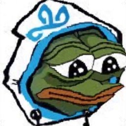 C9 Ducky