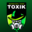 TOXIK Romanian Team