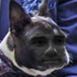 Arafat Lingonhatt