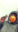 P9 ? ? ? ? ? ?