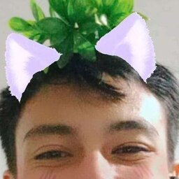Rengazy
