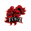 FNX Fin UERJ