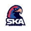 SKAtleta