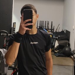 luisvportal