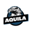 AQUILA PUBG