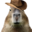 FSUFUEL