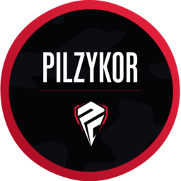 Pilzykor