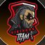 TEAM VIKINGOS