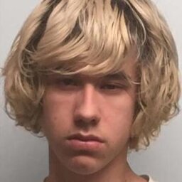 empotraguarras24#6955