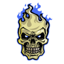SkullFire Gaming