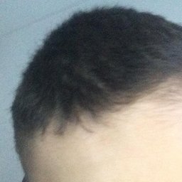 thegamerboy123